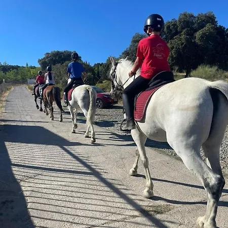 Holiday home Casa Del Torreon -Equus Adriana