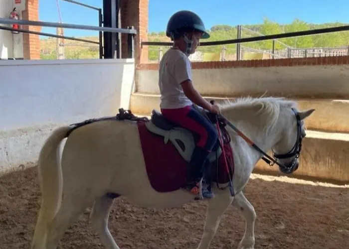 Casa Del Torreon -equus